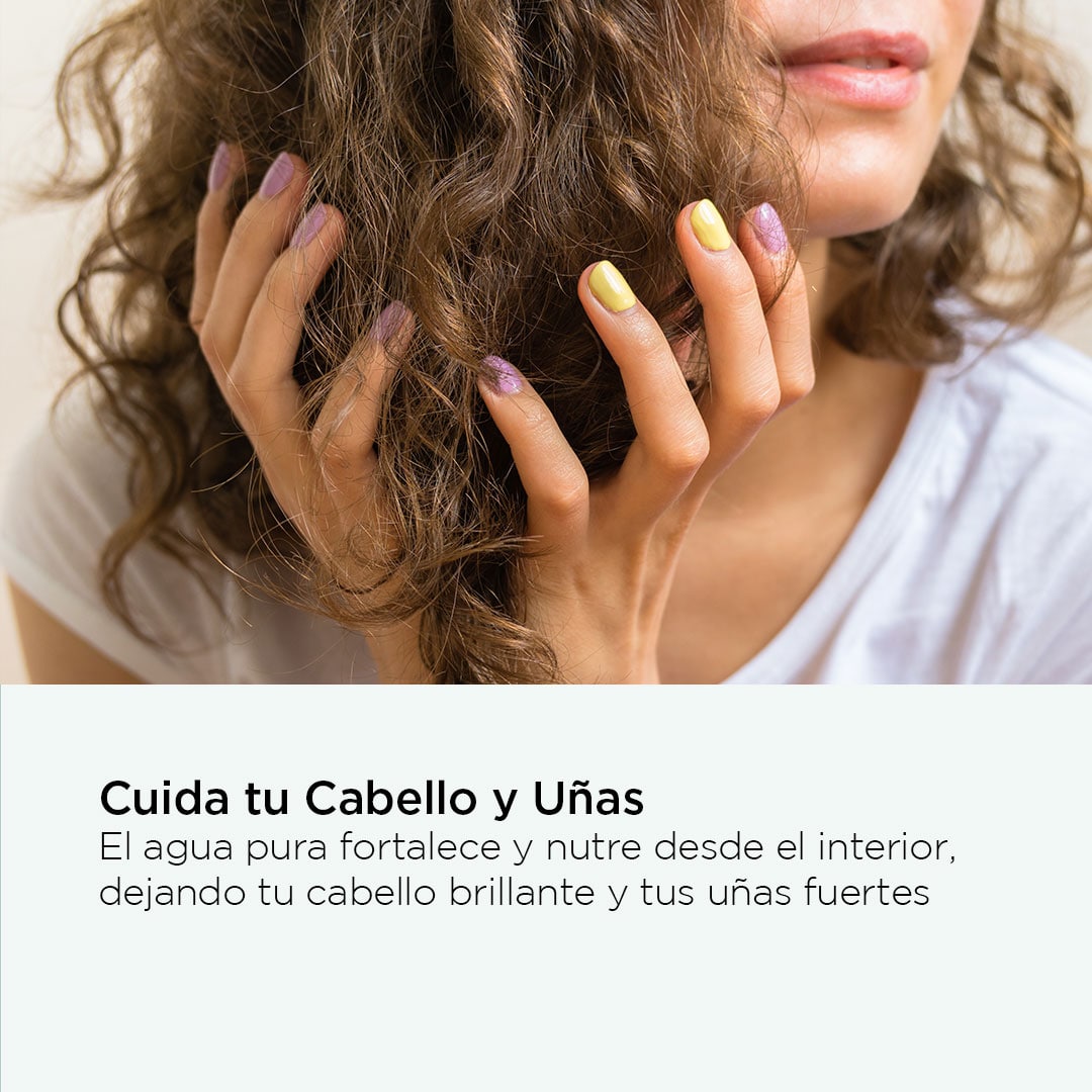 purificadores de agua caseros