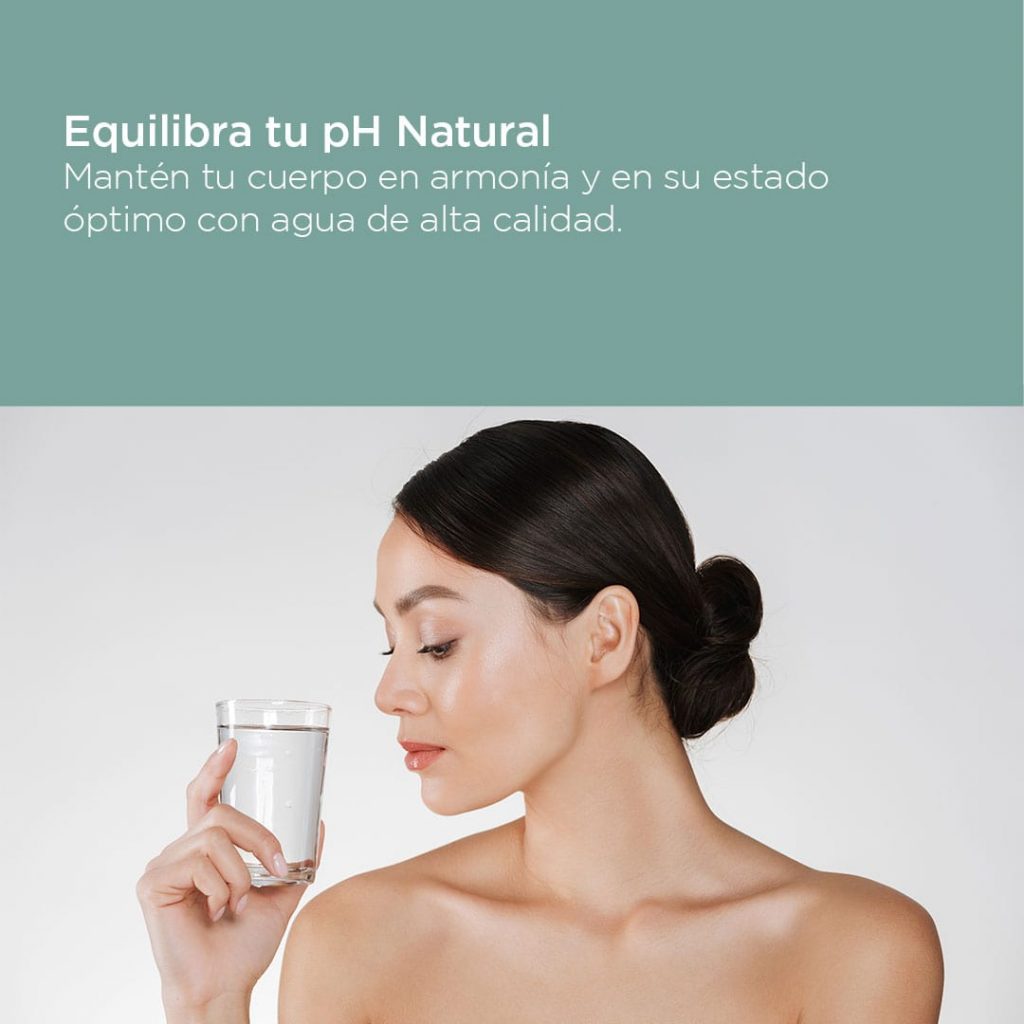 purificadores de agua caseros