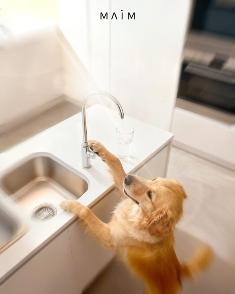 perro sirviéndose agua en un vaso