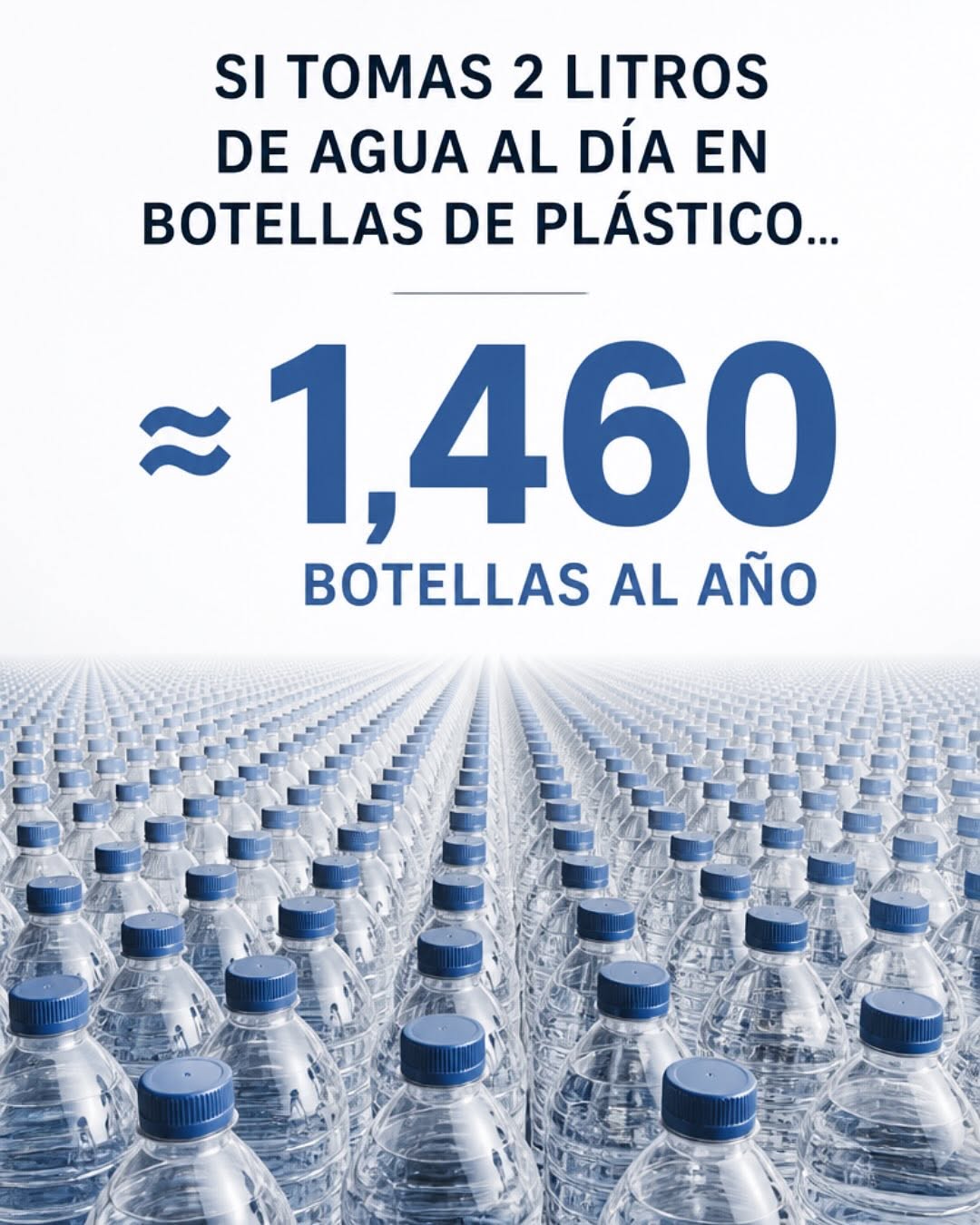 botellas de plástico